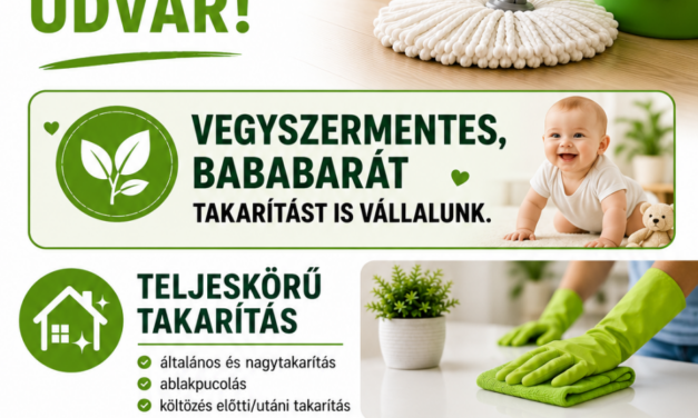 Tiszta Otthon !
