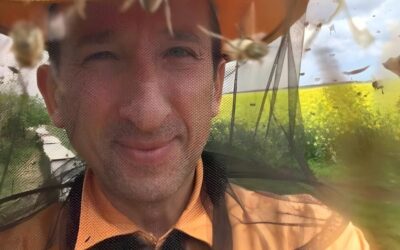 Mit tanulhatunk a méhektől? Túlélési stratégia közel 100 millió év tapasztalatával