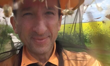 Mit tanulhatunk a méhektől? Túlélési stratégia közel 100 millió év tapasztalatával