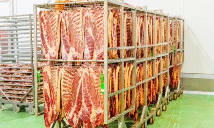 Zöld termelésre áll át a magyar bacongyártó
