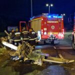Két halálos baleset az M1-es autópályán !