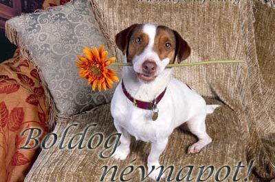 Minden Alfonz és Kolosnak Boldog Névnapot ….