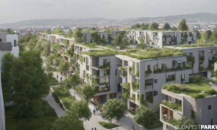 Rákosrendező lehetne zöld és igazságos is – de ez Budapest jelenlegi eszközeivel nehezen megvalósítható