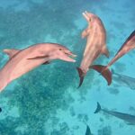 Egyiptom turizmusa lehet az iráni konfliktus nyertese