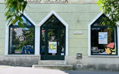Merész Máté Balázs KIVONAT című kiállítás