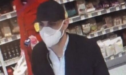 Ékszerlopás elkövetőjét keressük!