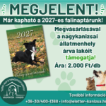 Megjelent ! A Nagykanizsai Állatmenhely Fali Naptára !