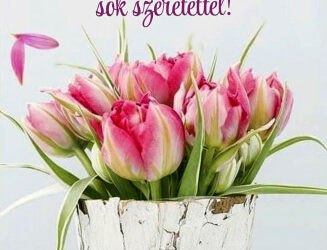 Minden Katalinnak , Kittinek boldog névnapot !