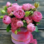 Minden Csillának boldog névnapot !