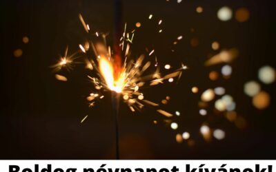 Minden Mártonnak Boldog Névnapot !