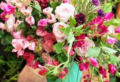 Minden Tündének boldog névnapot !