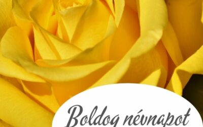 Minden Szilviának Boldog Névnapot !