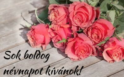 Minden Orsolyának és Zelykének Boldog Névnapot !