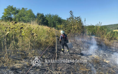 Szabadtéri tűz Zalaapátinál !