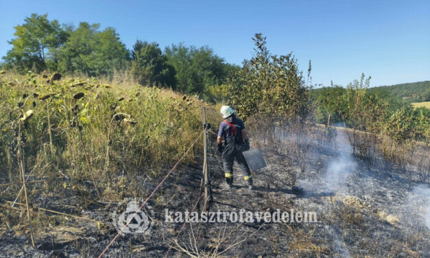 Ezer négyzetméteren égett hétfőn a száraz fű és a kommunális hulladék !