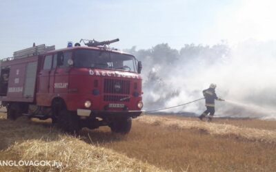 Egy arra haladó busz utasa jelezte, hogy közel kétméteres lángokat lát !